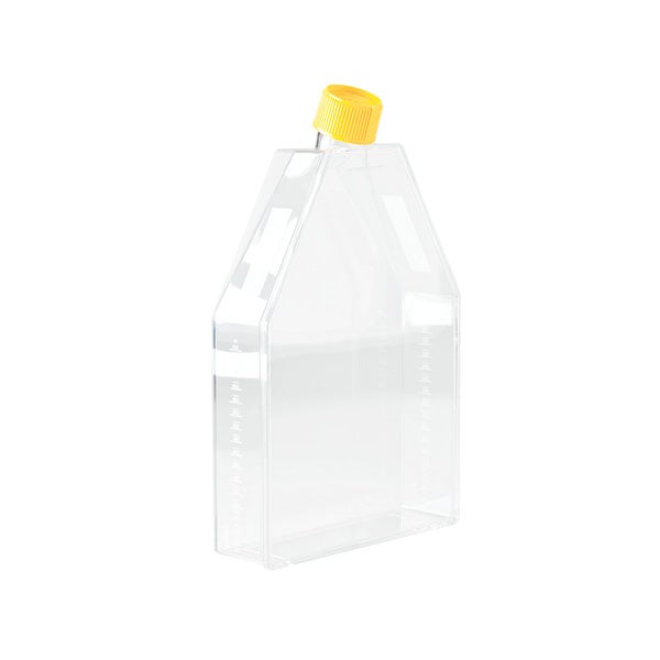 590301 – Zellkulturflasche 300 cm², Filter-Schraubkappe, gelber Musterkarton mit 3 Stk. 