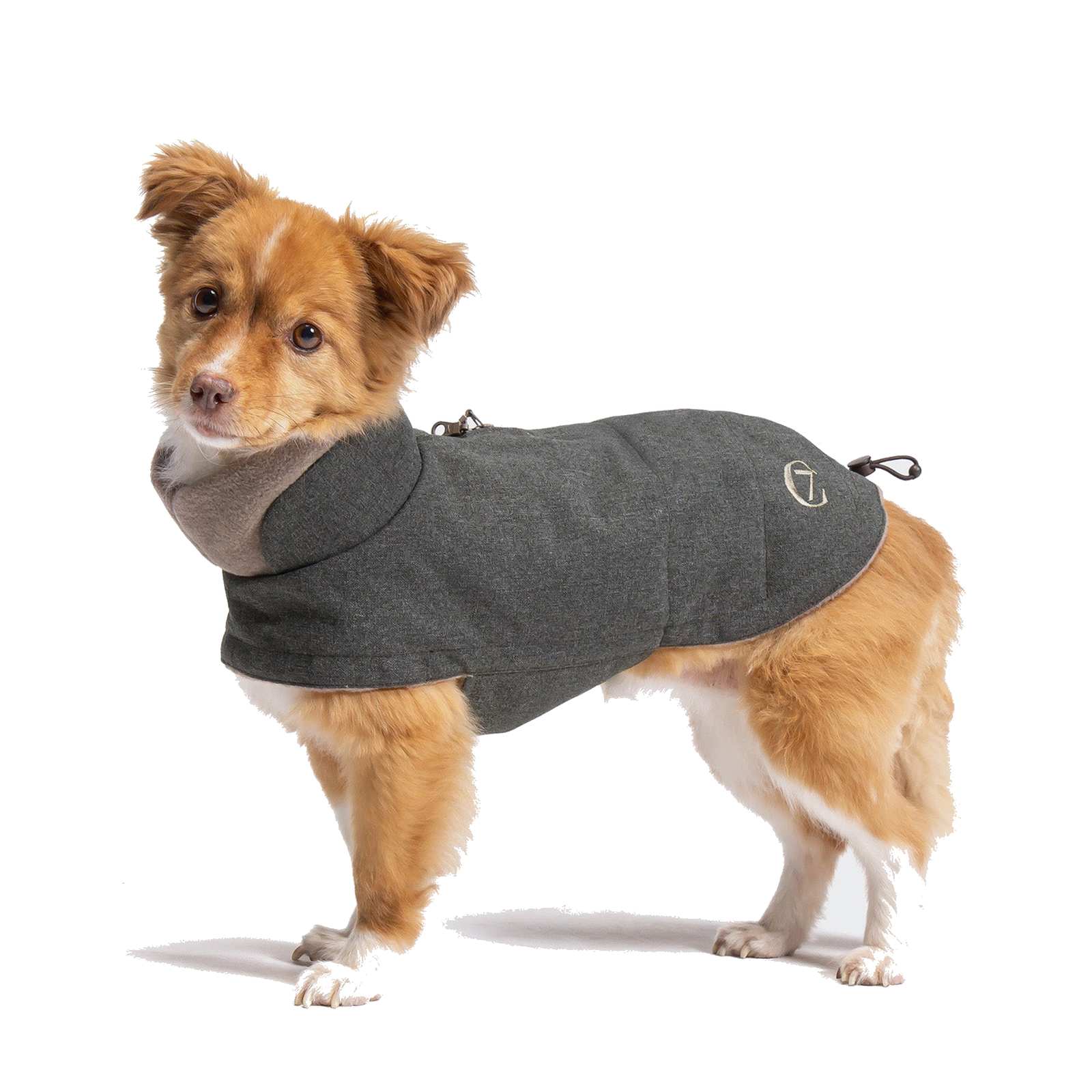 Hundemantel Brooklyn Light Graphit