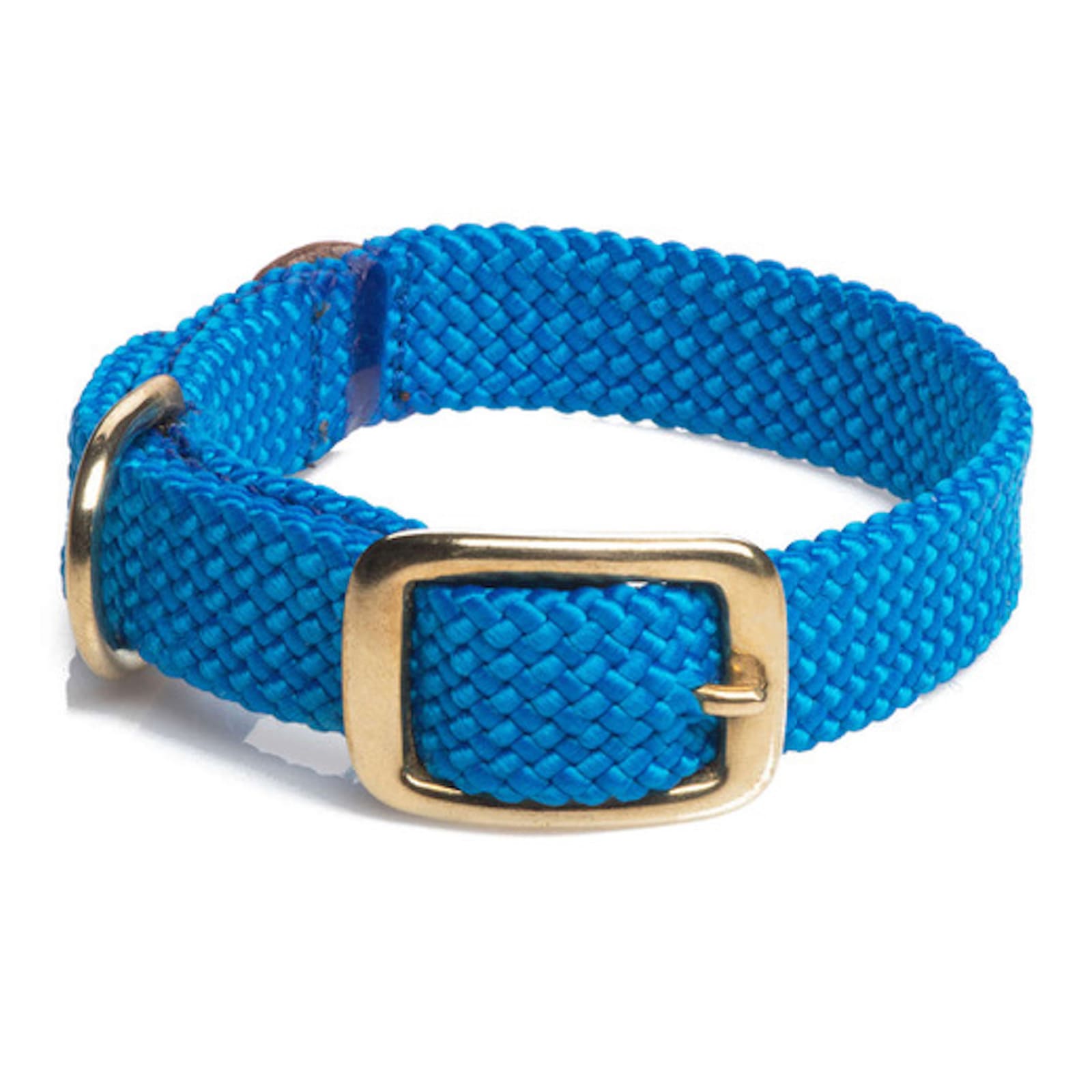 Blaues Halsband mit goldener Metallschnalle