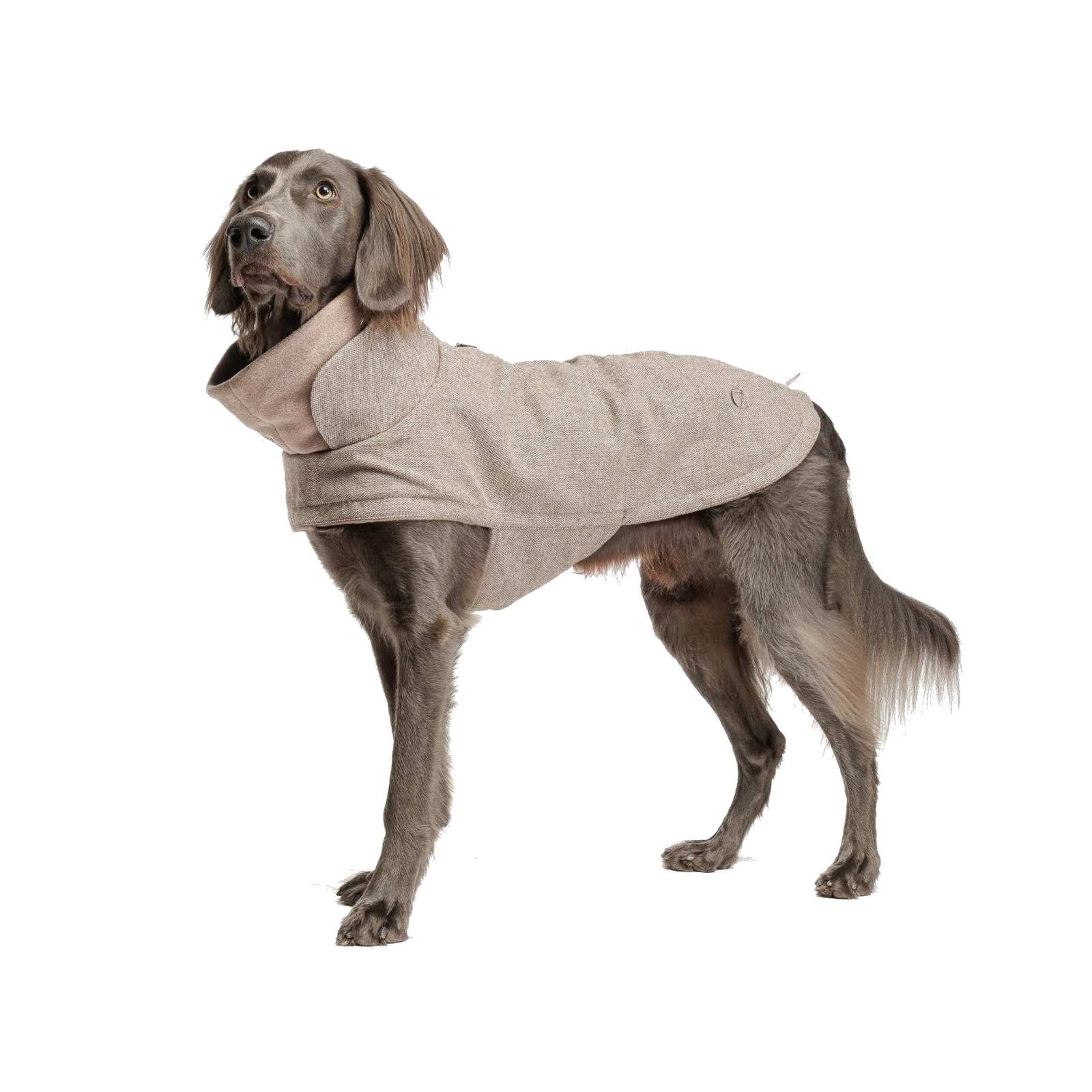 Hundemantel Brooklyn Tweed Beige