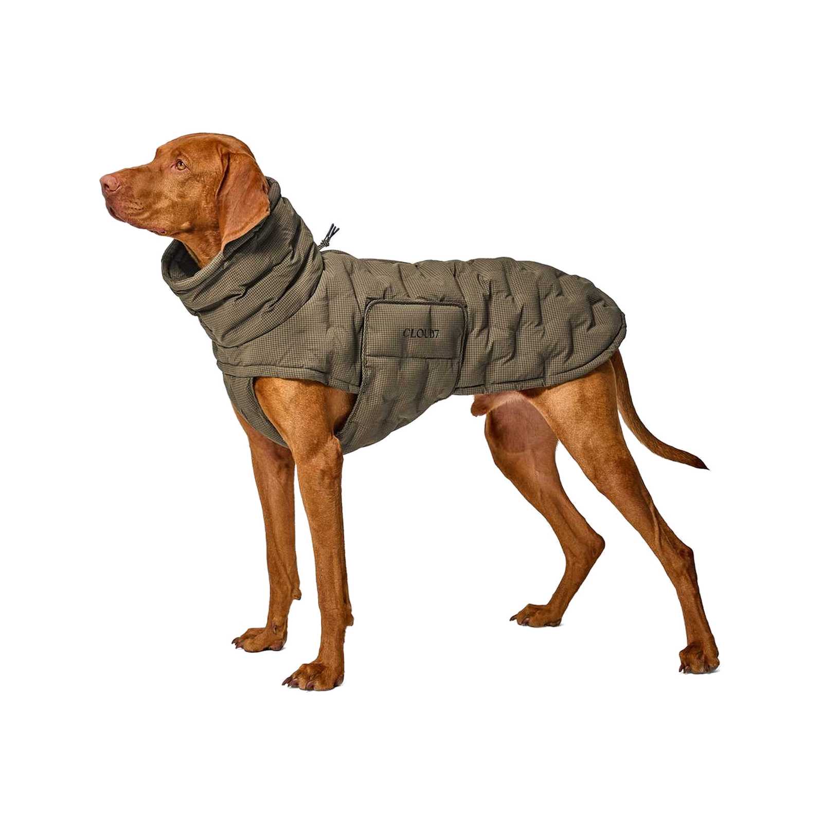 Dog Coat Alaska Seersucker Coffee