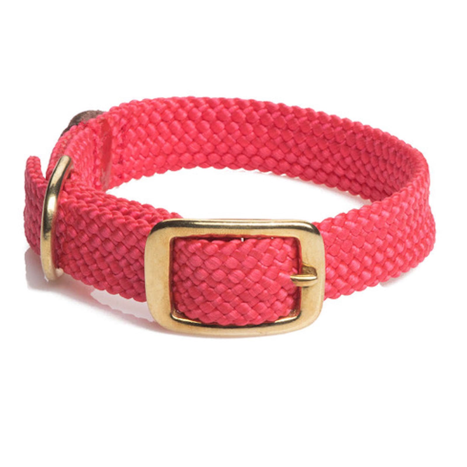 Rotes Halsband mit goldener Metallschnalle