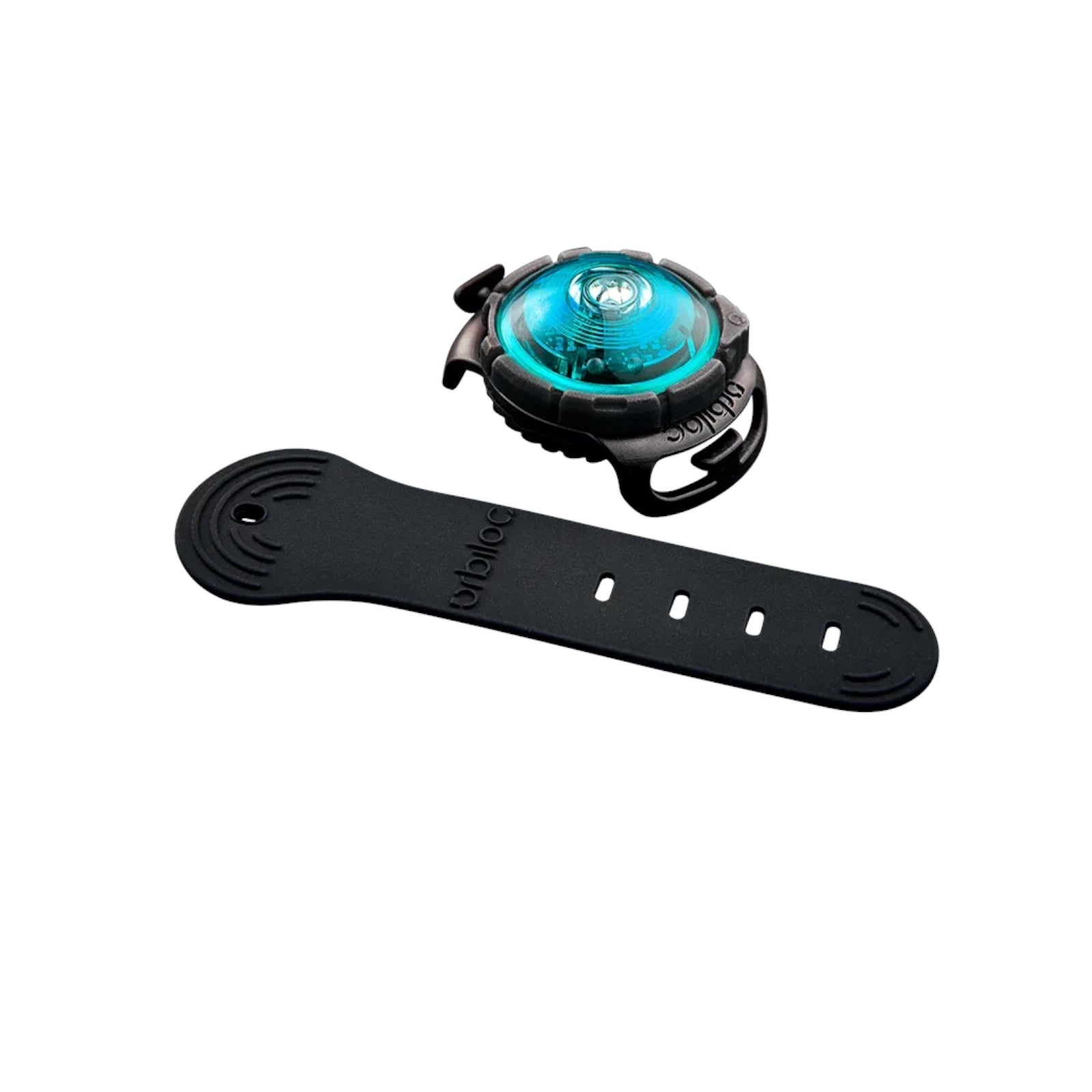 Orbiloc Dog Dual Türkis