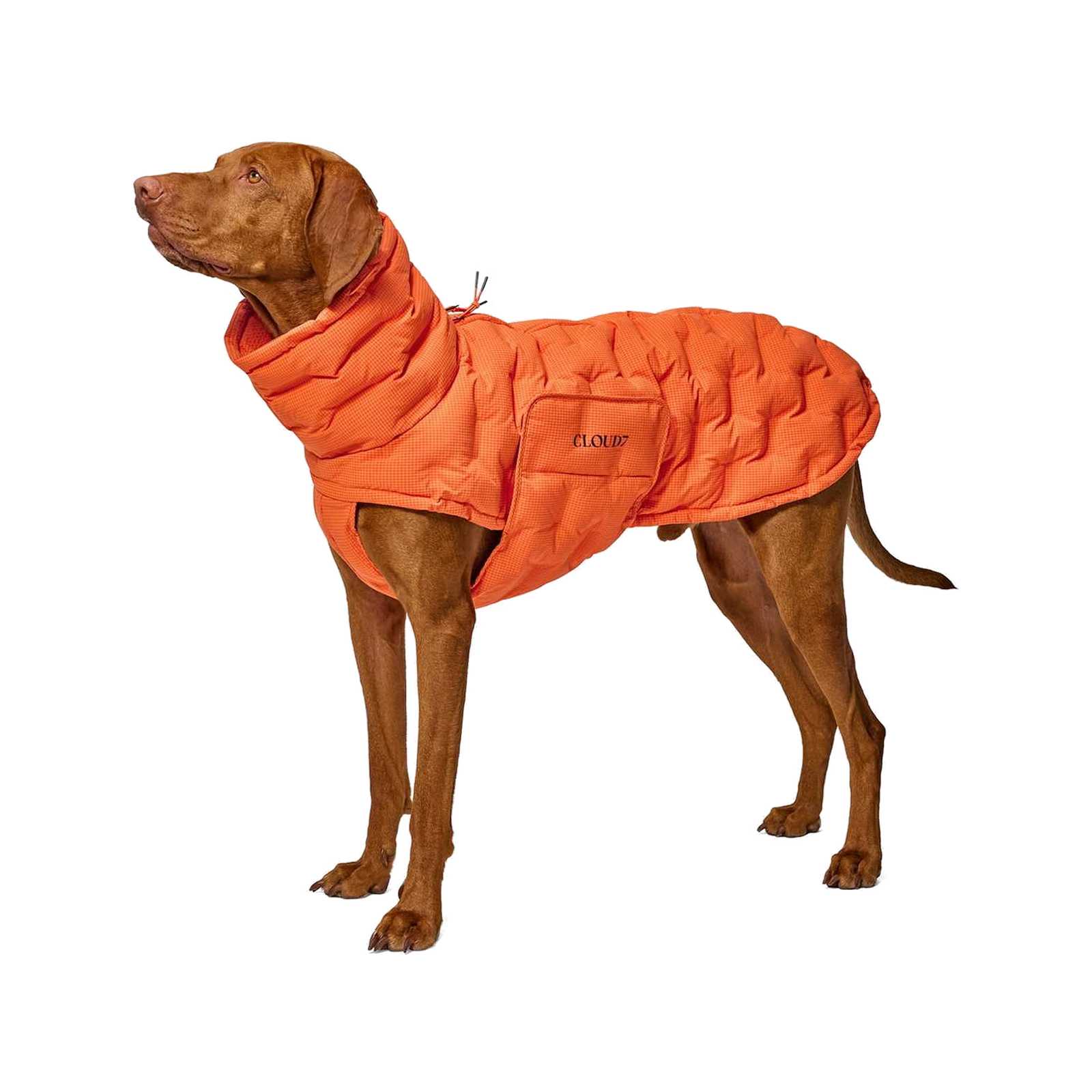 Dog Coat Alaska Seersucker Orange