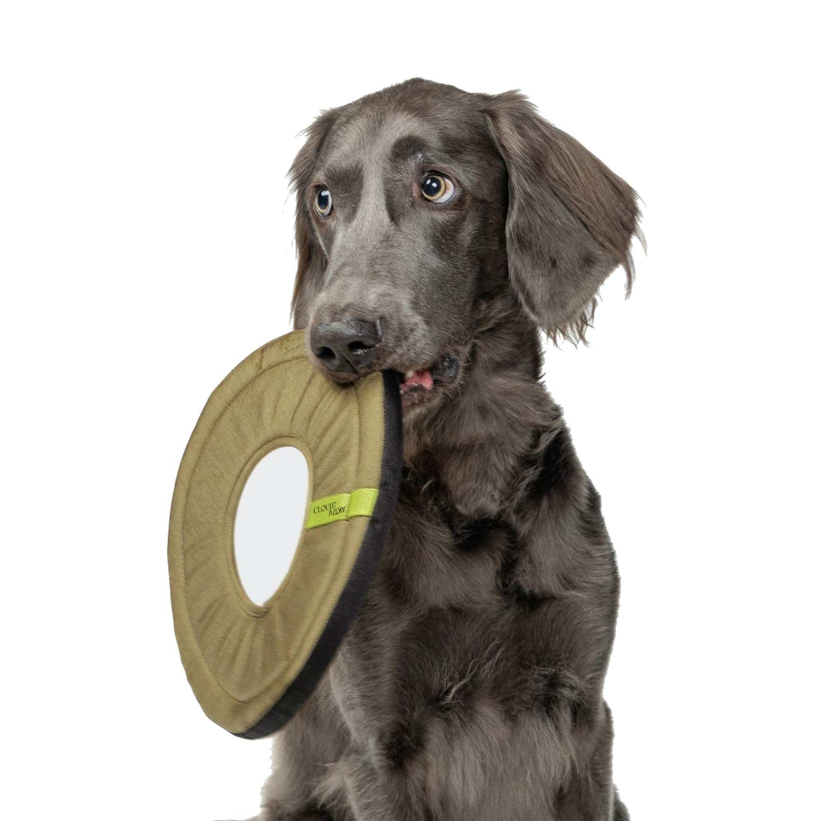 Frisbee Aktiv Khaki