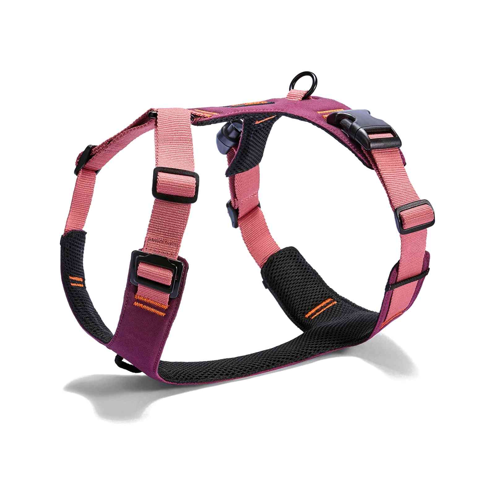 Geschirr Y-2 AKTIV Aubergine/Soft Rose