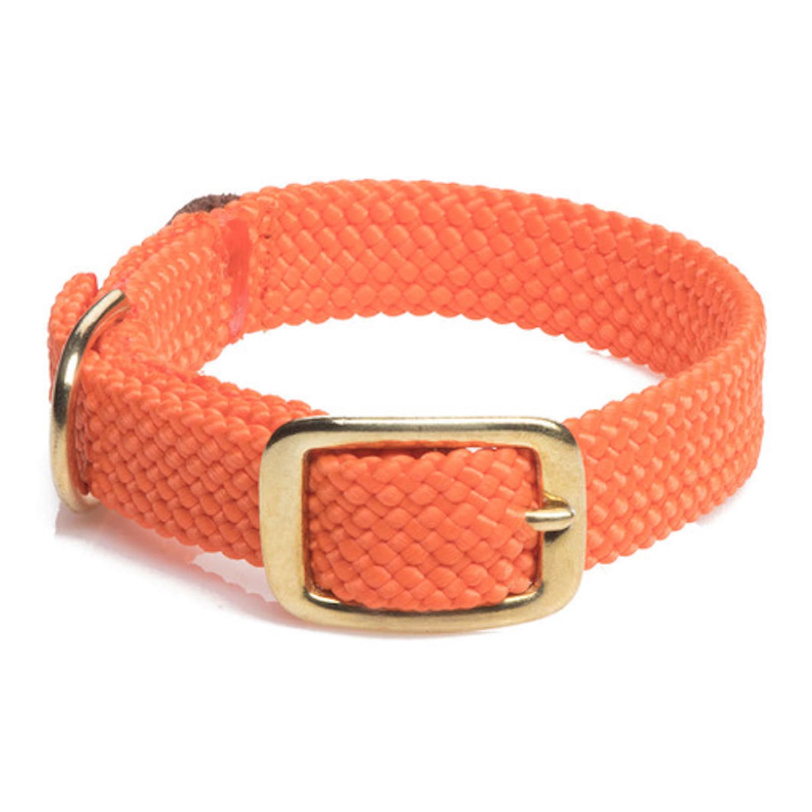 Orangenes Halsband mit goldener Metallschnalle