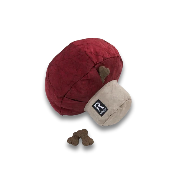 Apportierspielzeug Pilz