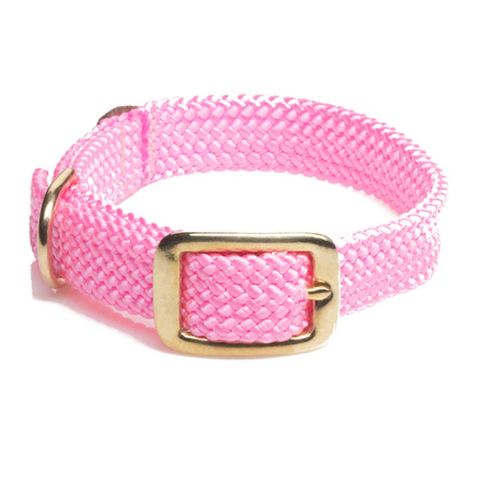 Pinkes Halsband mit goldener Metallschnalle