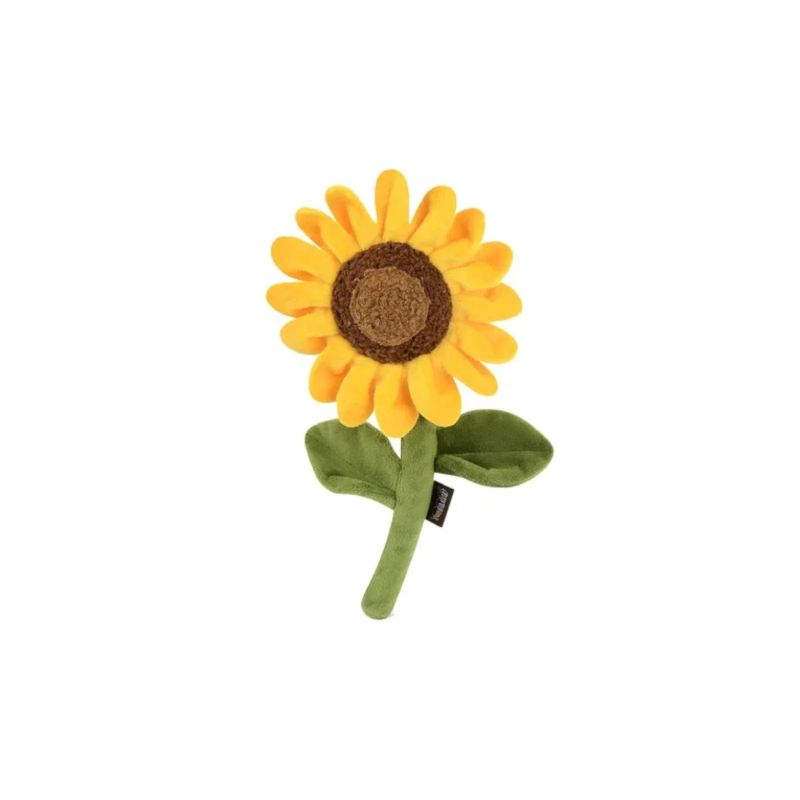 Sassy Sunflower
