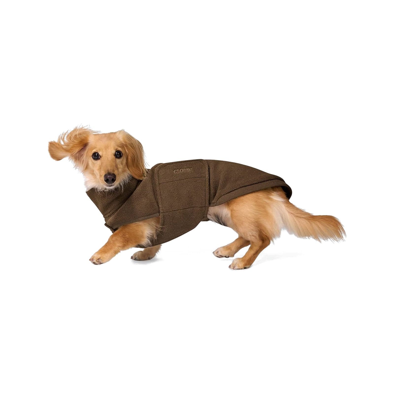 Hundepullover Dackel Derby 2.0 Soft Fleece Coffee