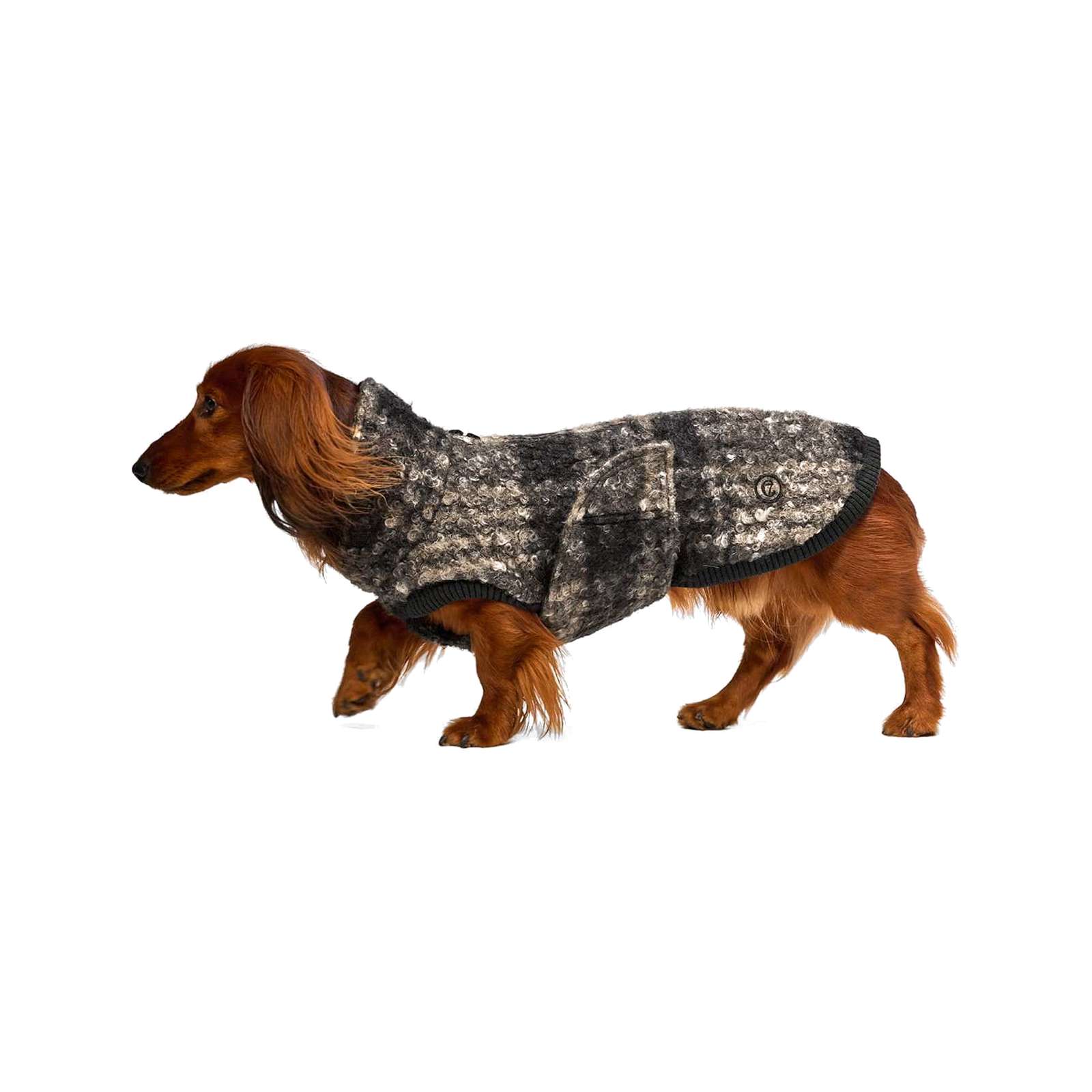 Hundepullover Dackel Gotland Tartan