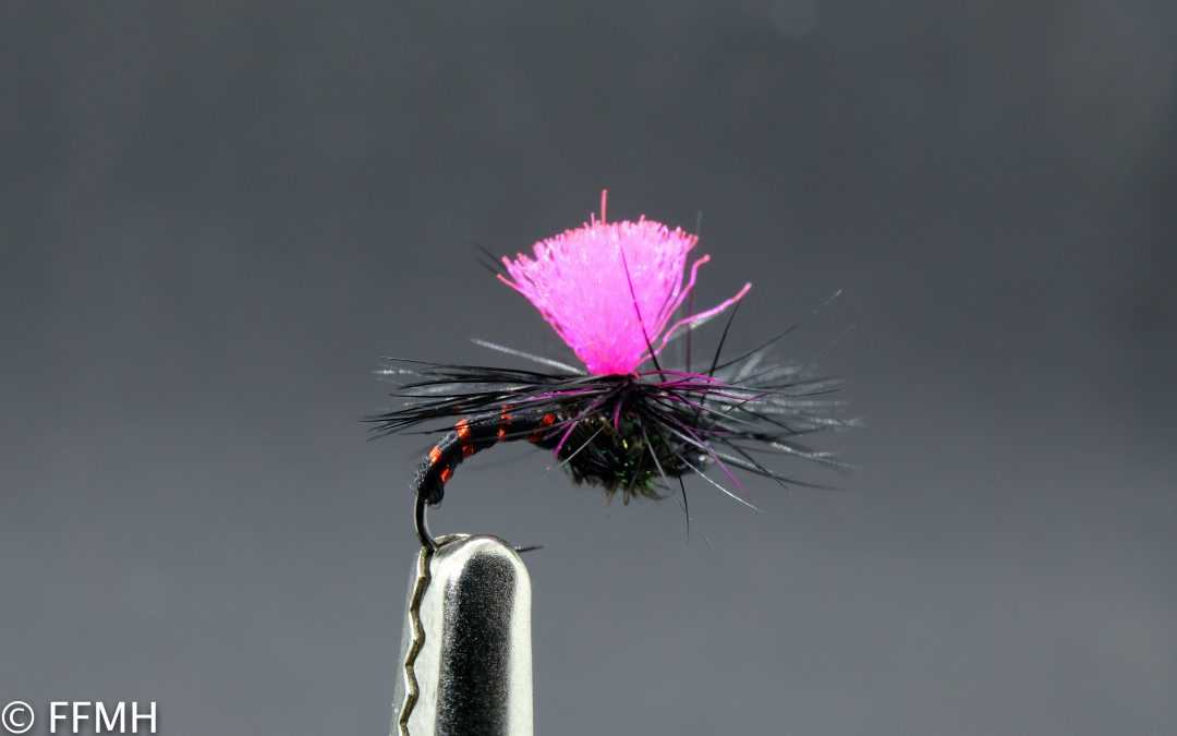 Black Magic Red Rib Black Magic Red Rib