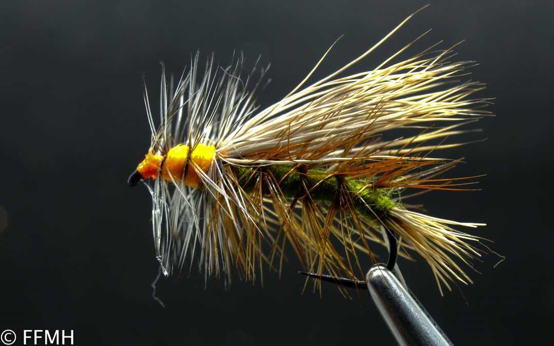 Stimulator Olive