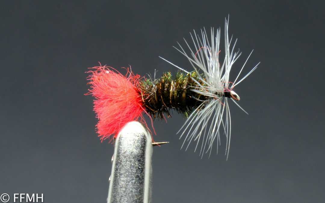 Grayling Witch