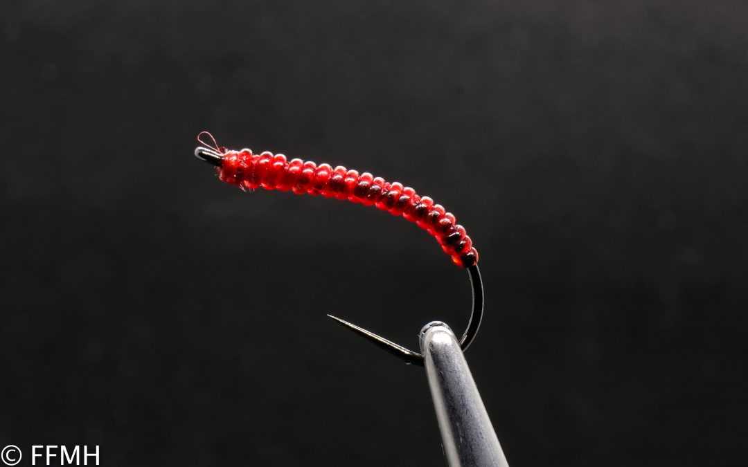 Blood Midge Blood Midge