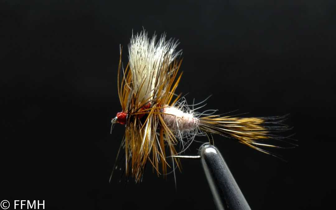 Ausable Wulff Ausable Wulff