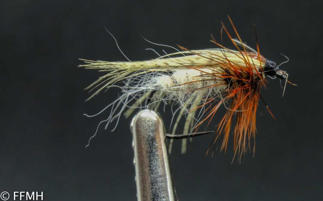 Large Stonefly Wet Large Stonefly Wet