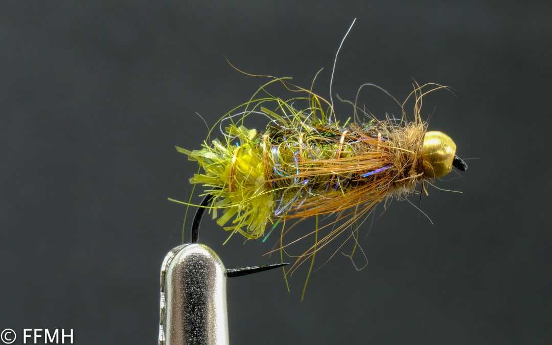 Emerging Pupa