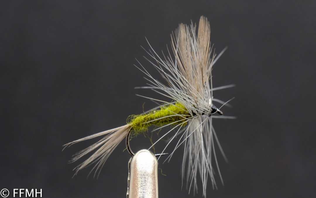 Blue Winged Olive Blue Winged Olive