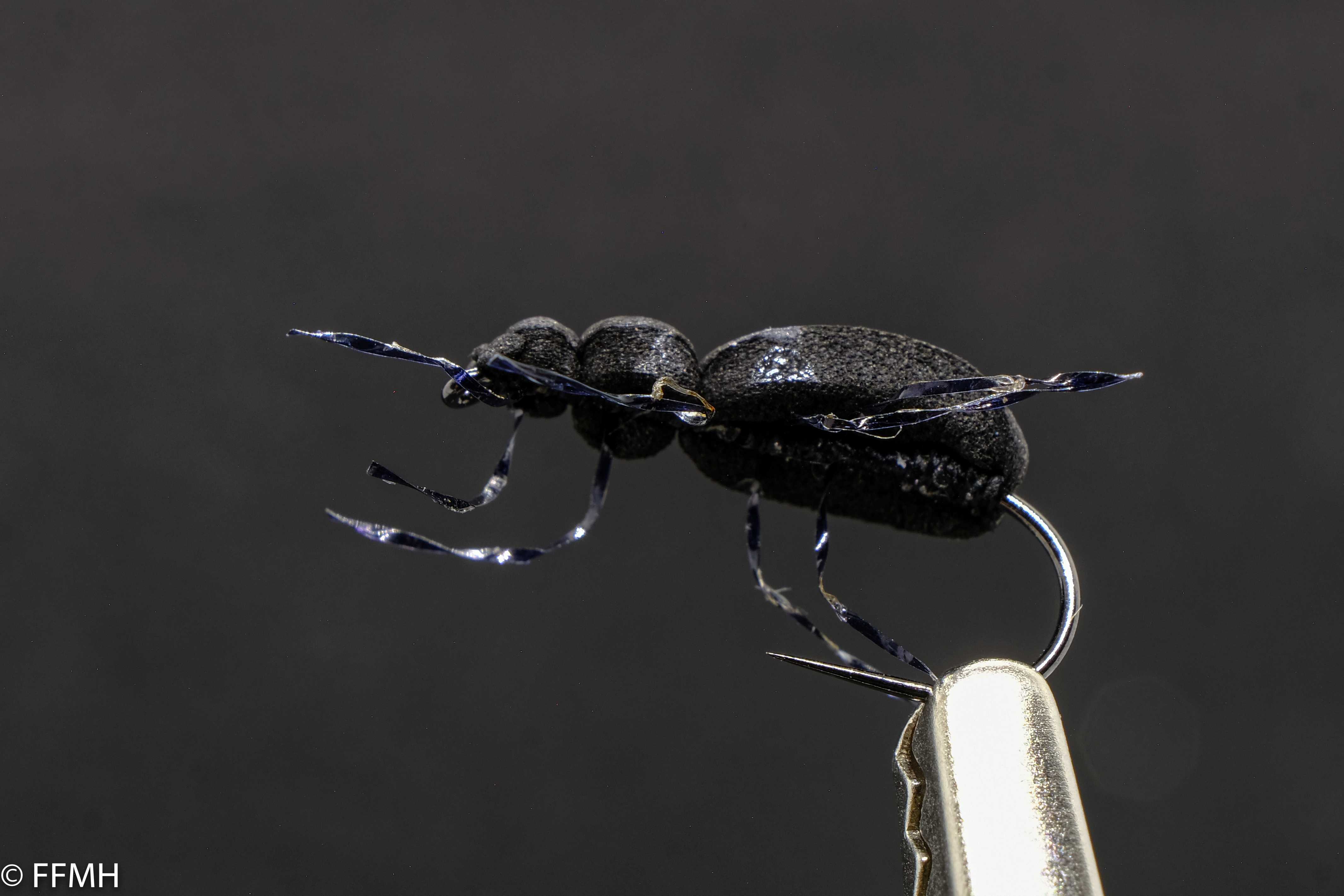 Beetle Foam Beetle Foam