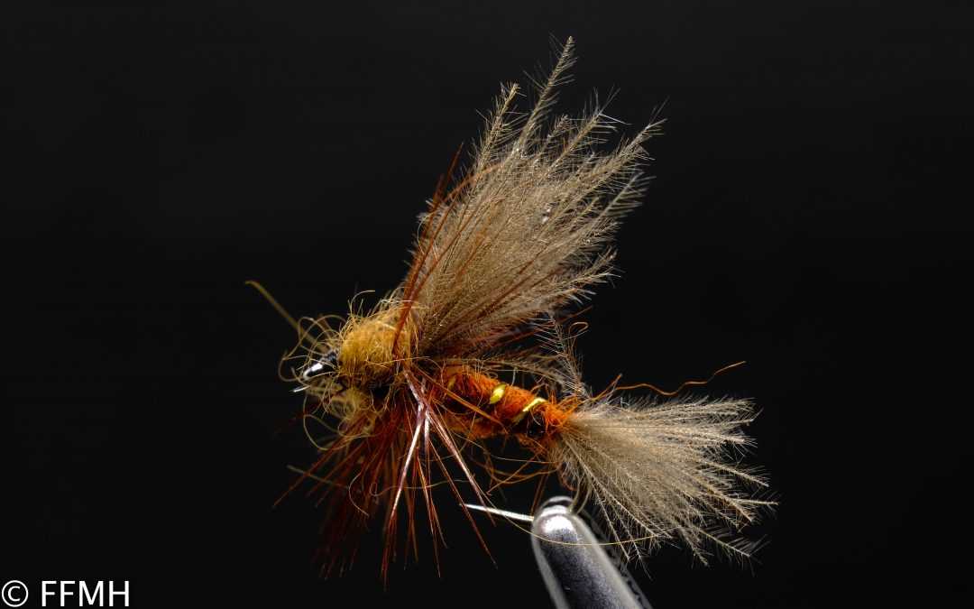 Bengsson Split Wing Emerger Bengsson Split Wing Emerger