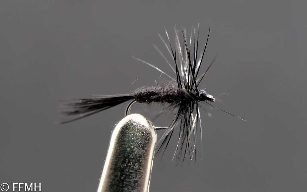 Black Midge Black Midge