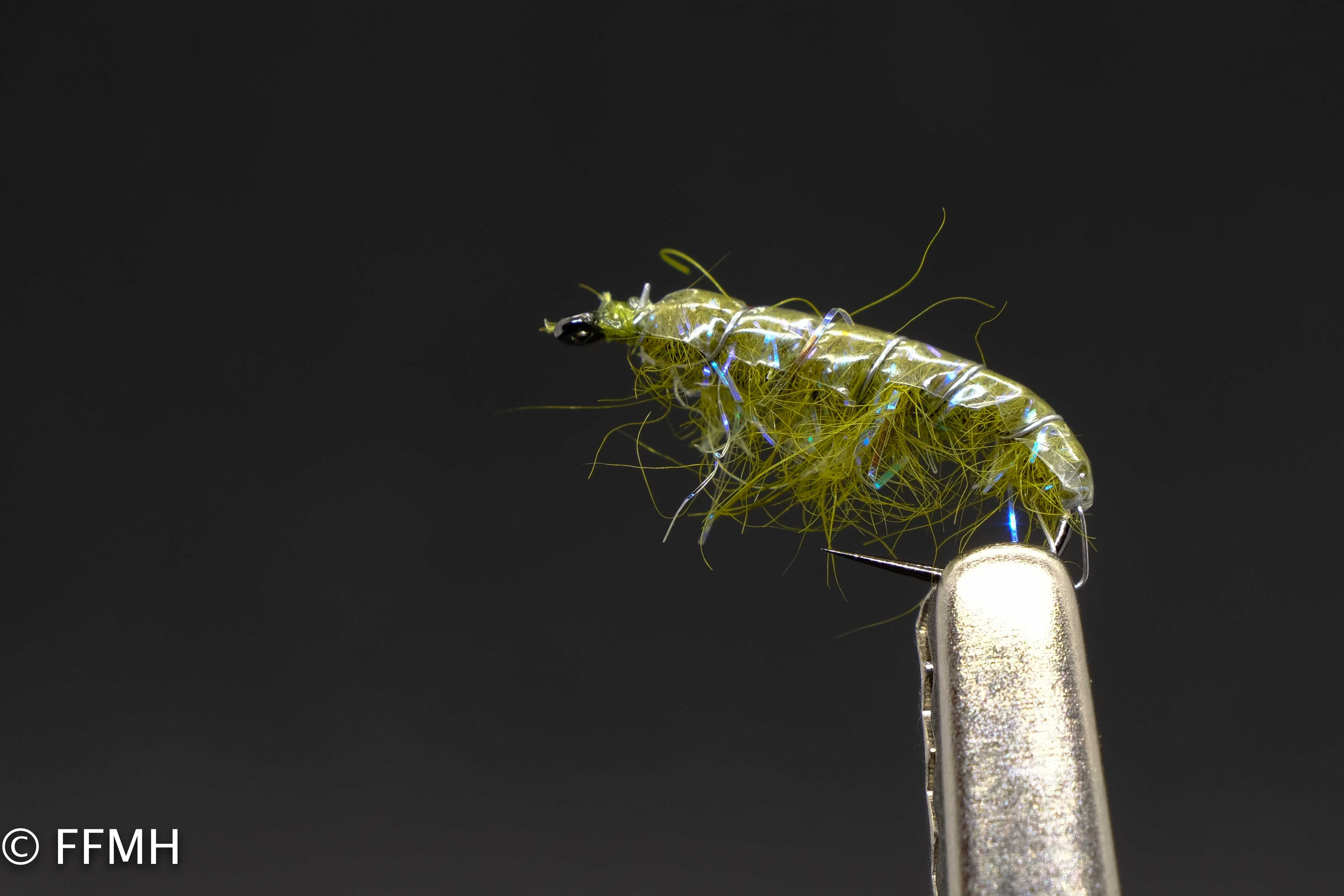 Olive Syntrex Bug / Scud Olive Syntrex Bug / Scud
