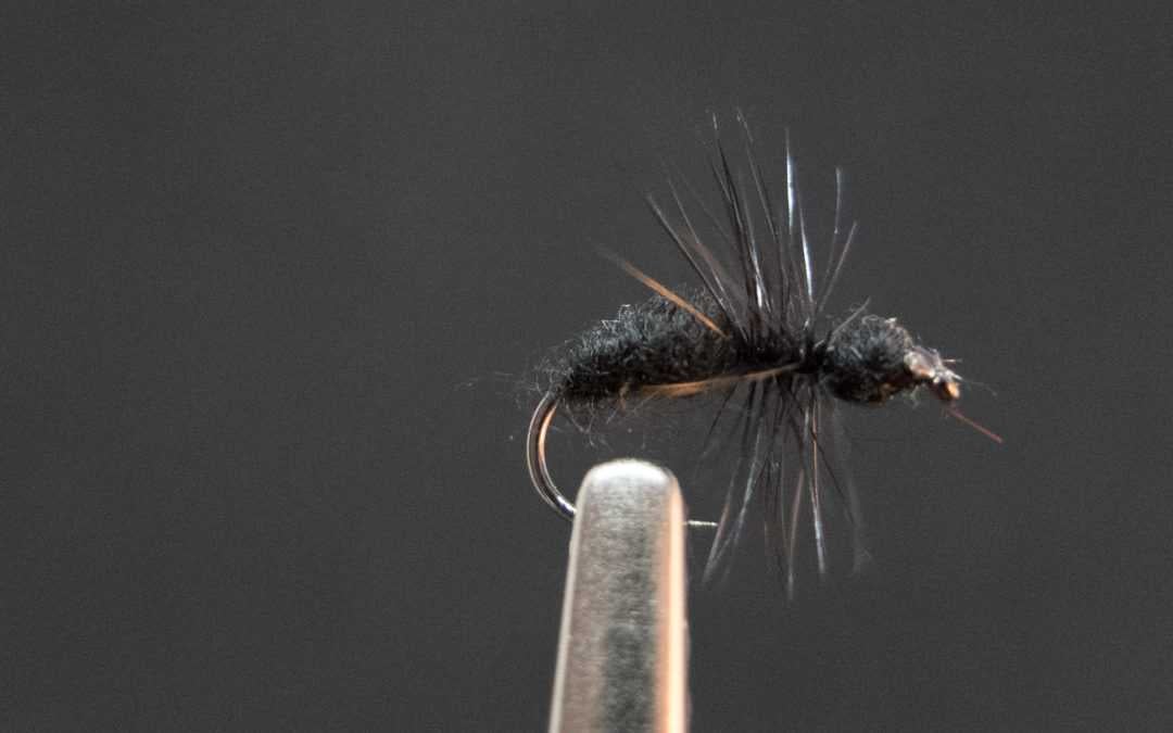 Fur Ant Black Fur Ant Black