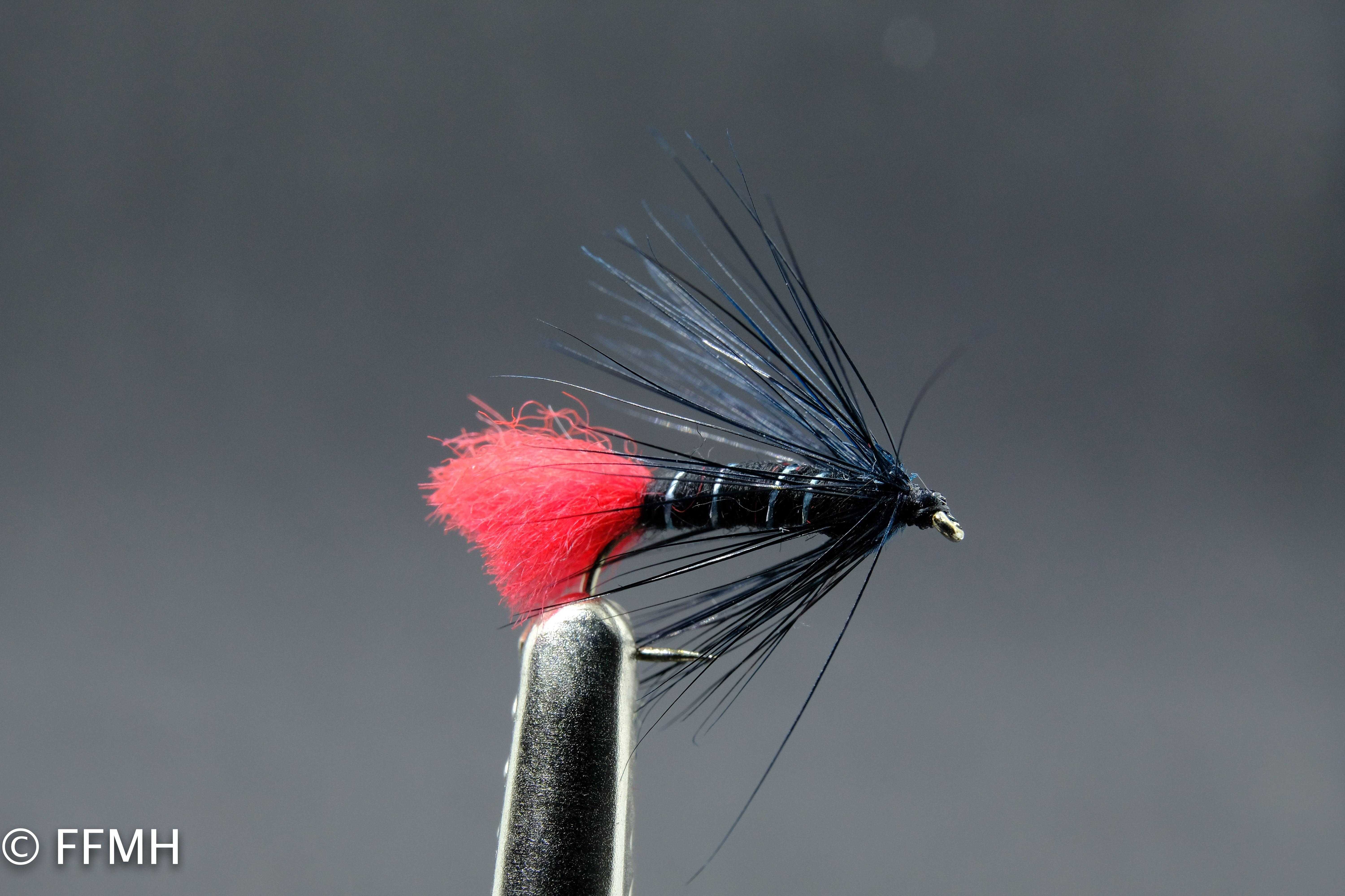 Black Zulu Black Zulu