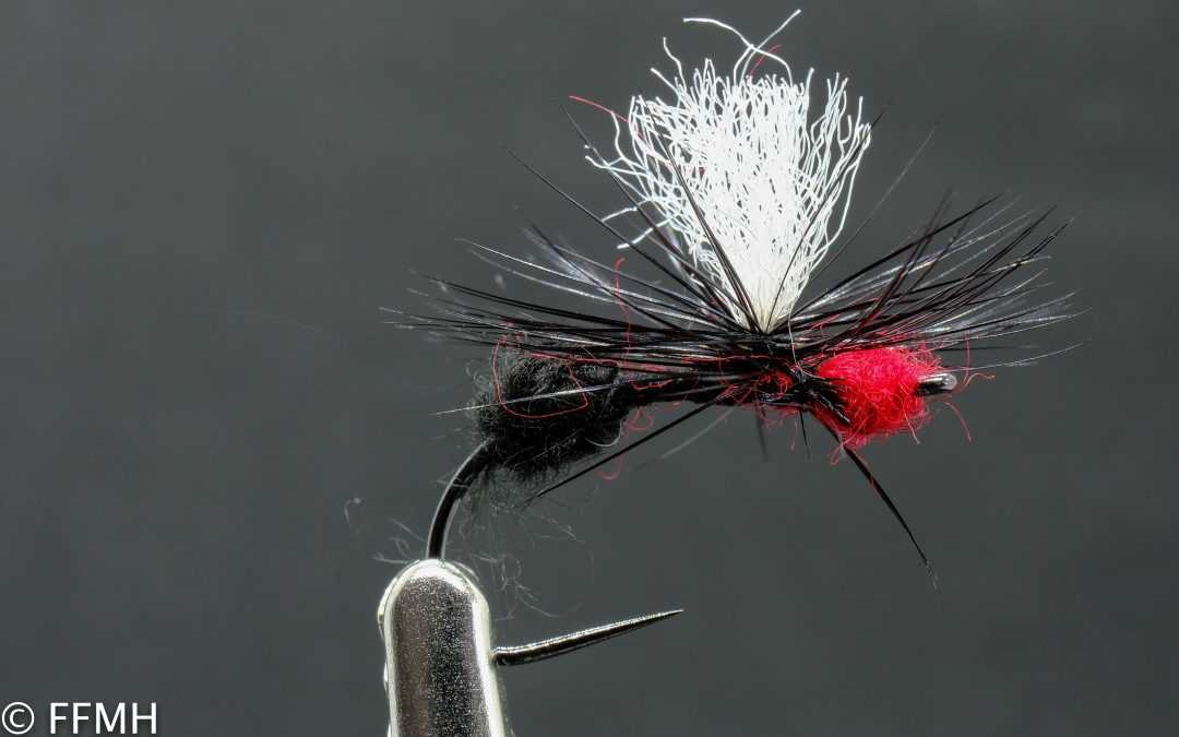 Red Diptera Red Diptera