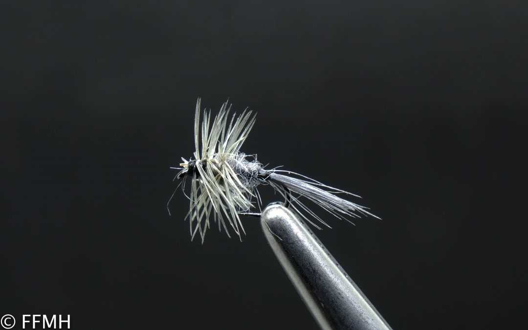 Blue Dun Grey Midge Blue Dun Grey Midge