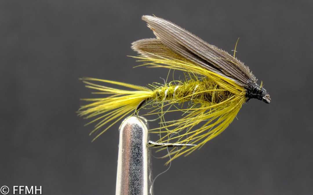 Olive Wet Fly Olive Wet Fly