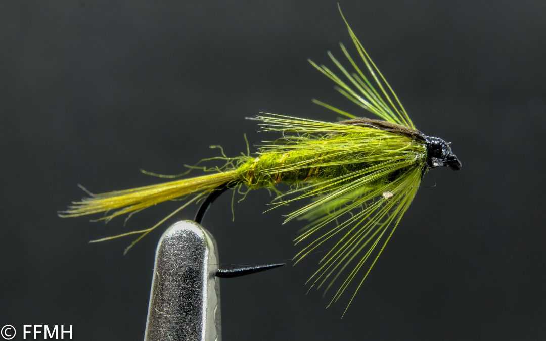 Damsel Fly Green Damsel Fly Green