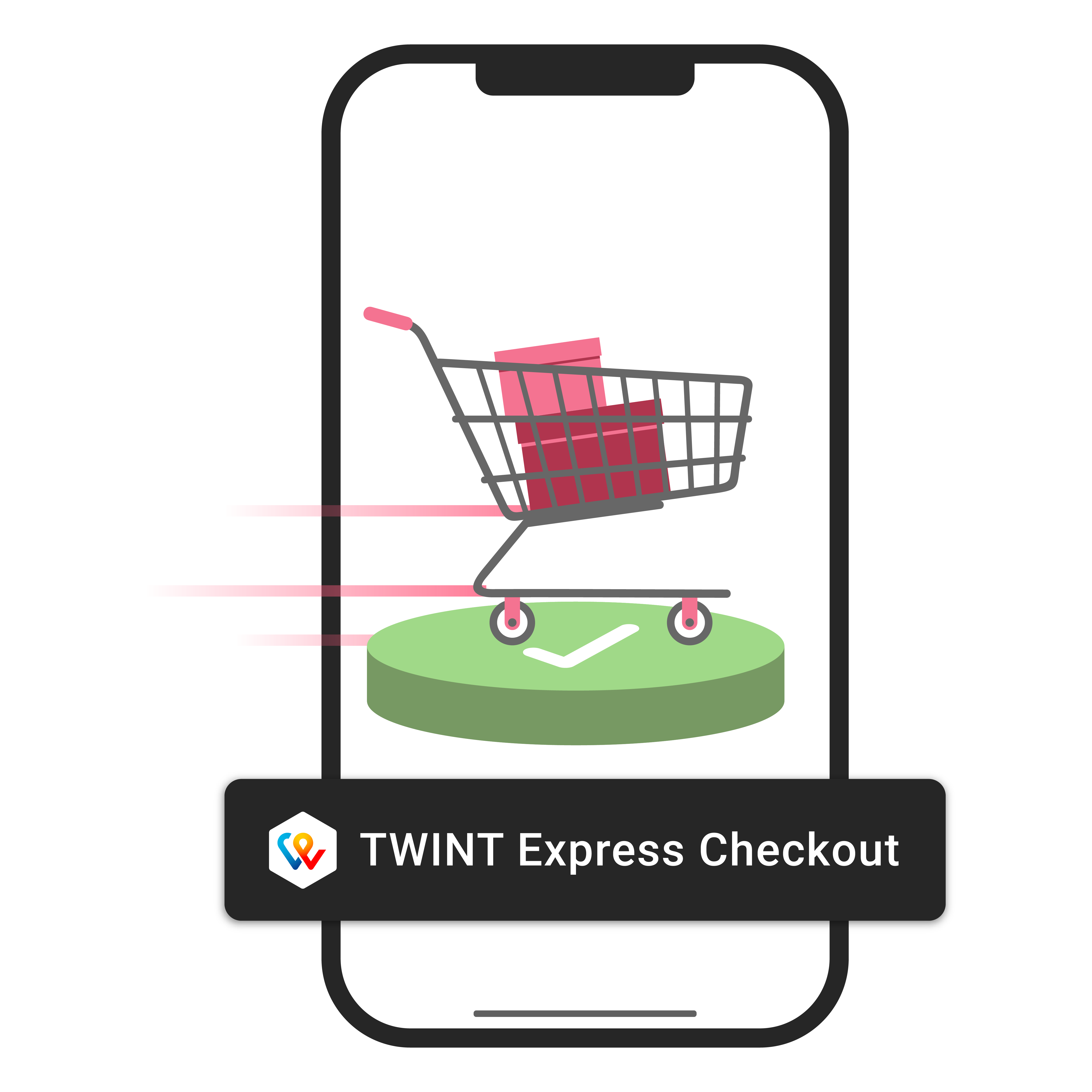 TWINT Checkout Image