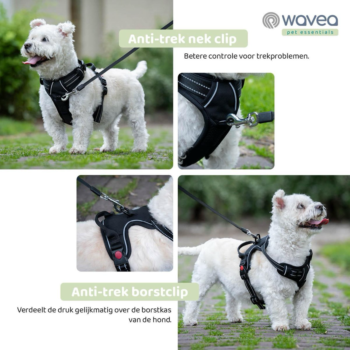 Wavea Hondenharnas maat S zwart Wavea Hondenharnas maat S zwart