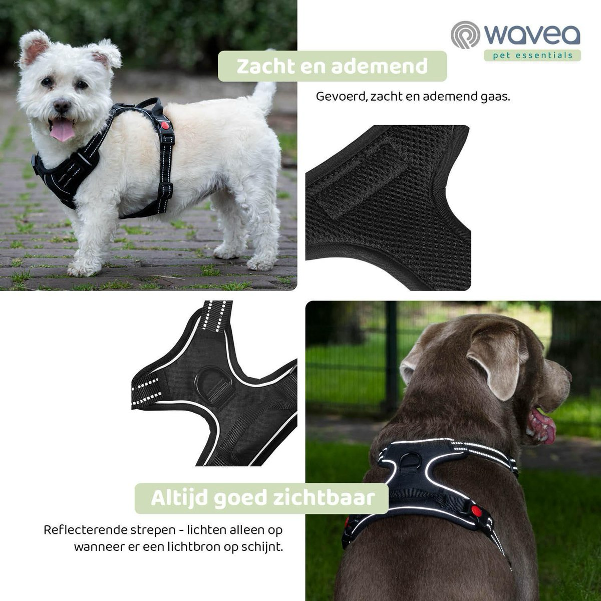 Wavea Hondenharnas maat S zwart Wavea Hondenharnas maat S zwart