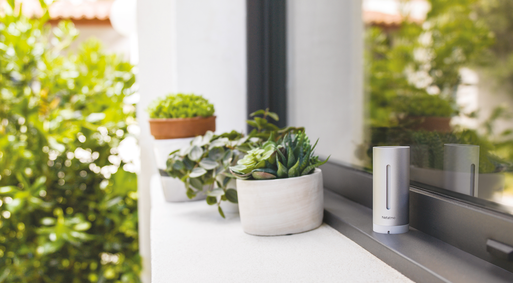 Netatmo Rain Pack slim weerstation + windmeter