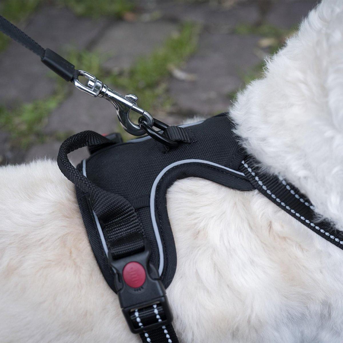 Wavea Hondenharnas maat S zwart