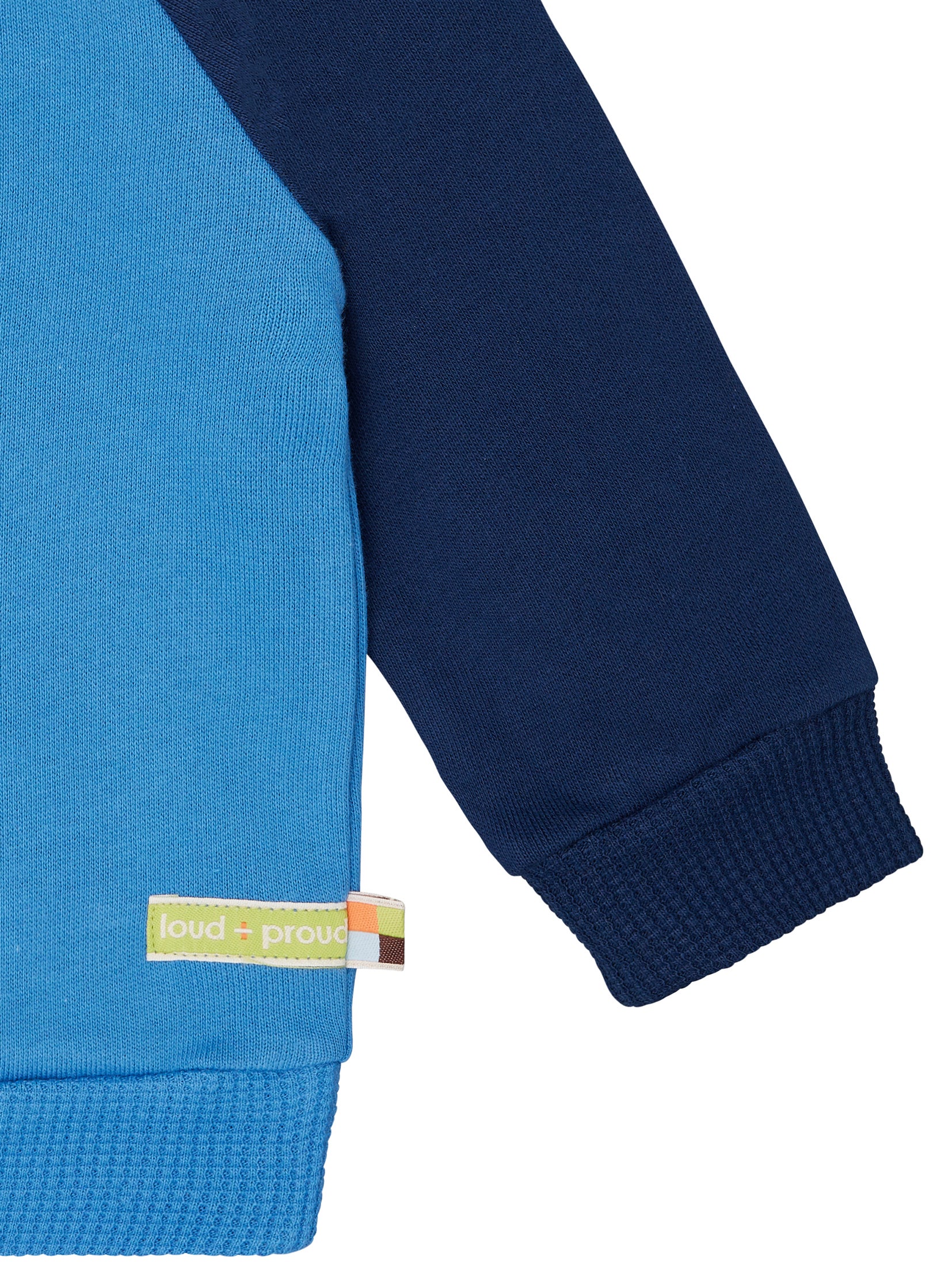 Sweatshirt with raglan sleeves