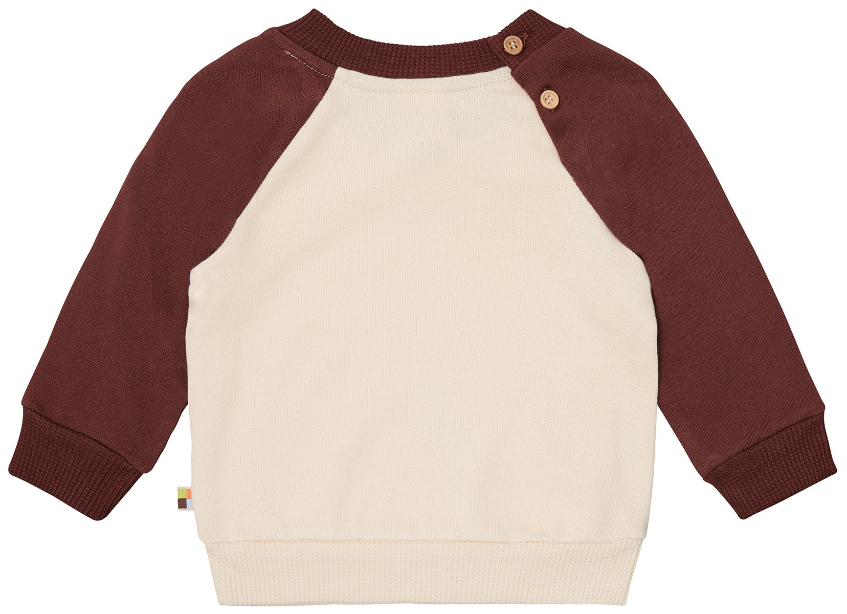 Sweatshirt with raglan sleeves