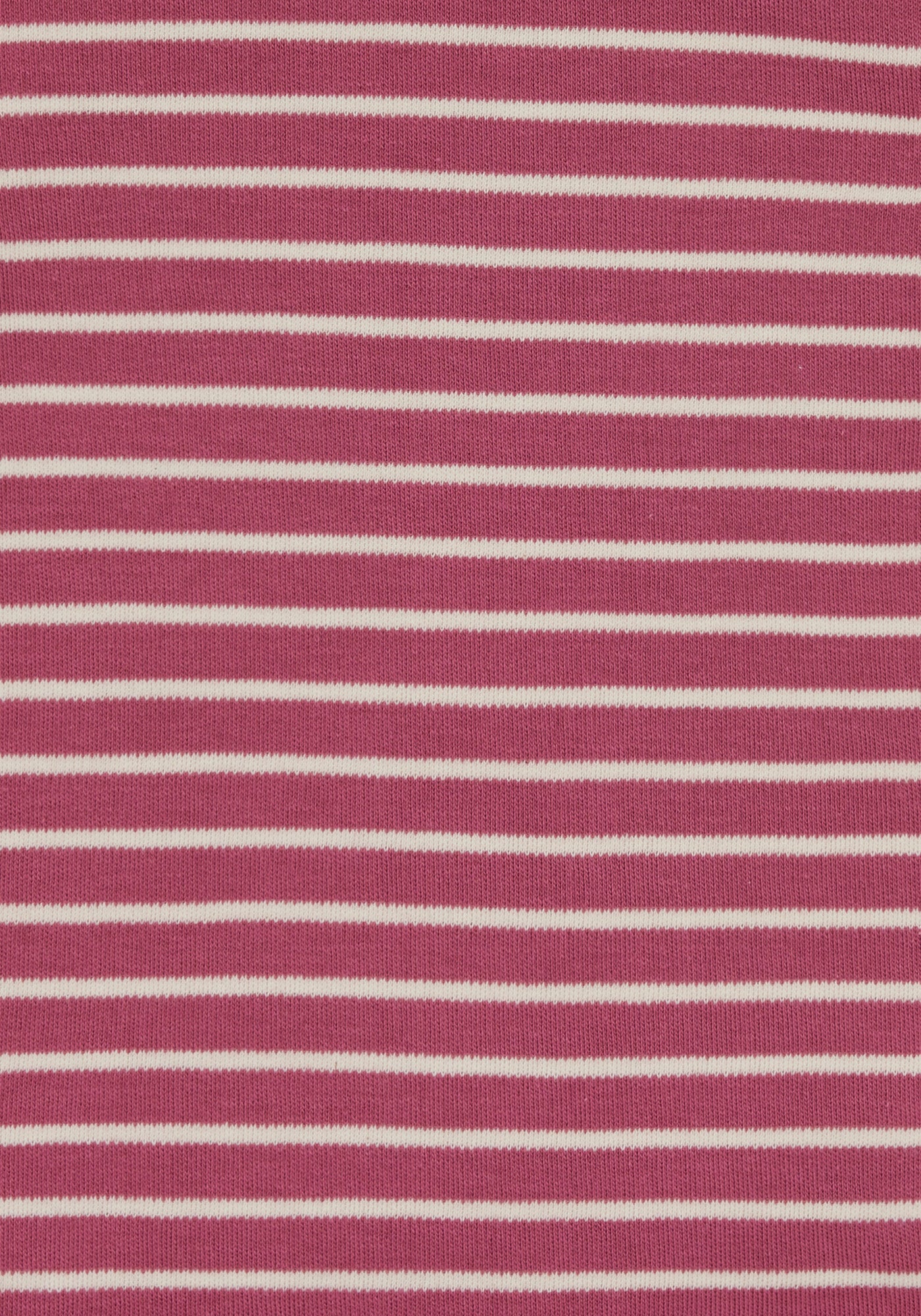 Shirt Stripes