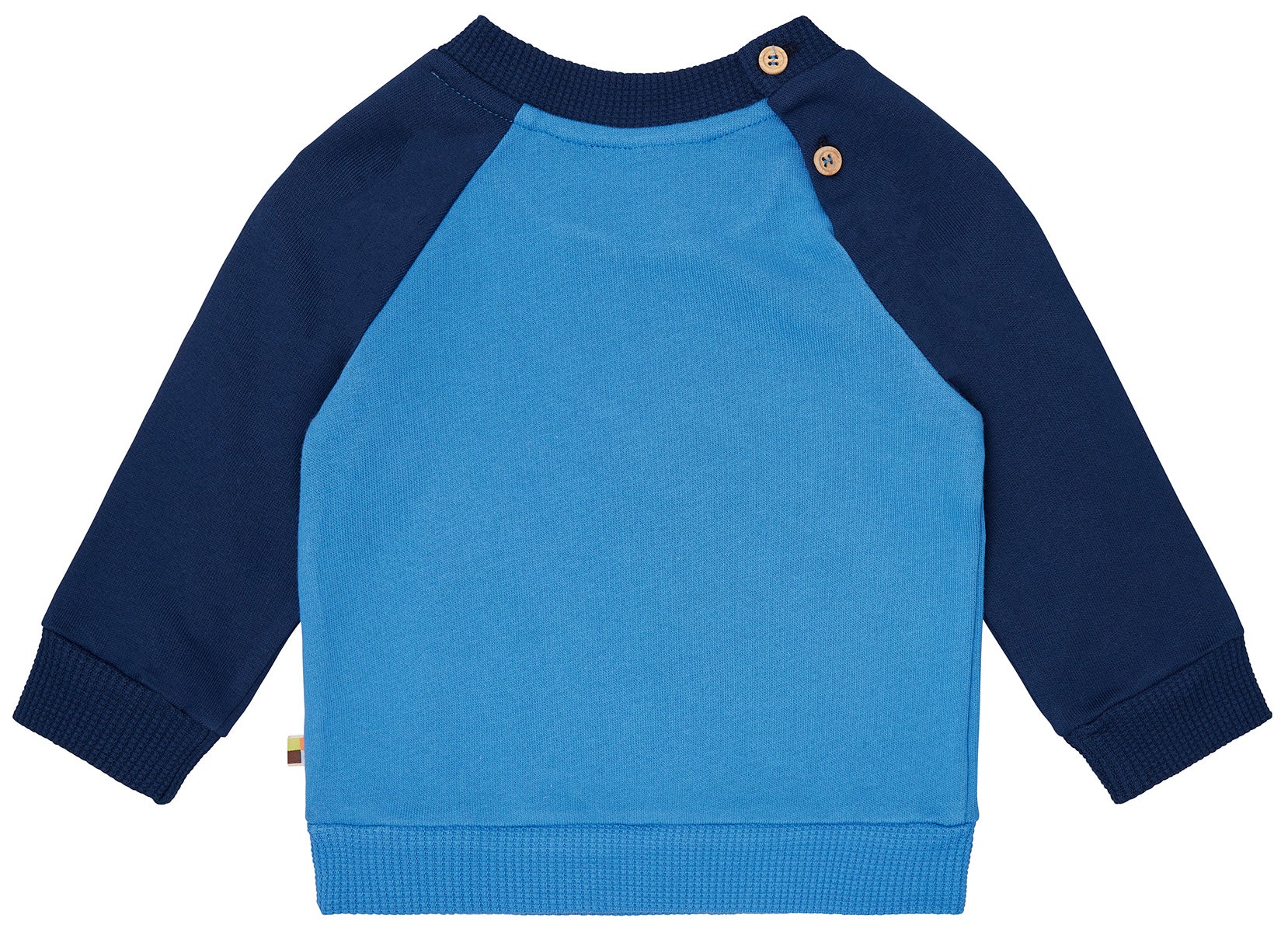 Sweatshirt with raglan sleeves