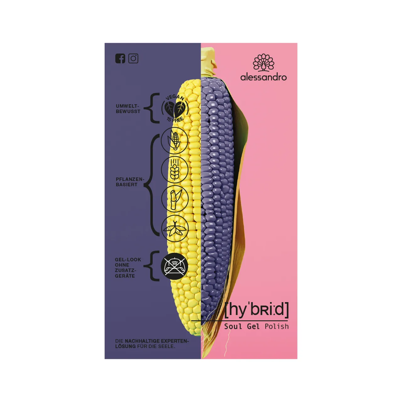 Hybride brochure d/en