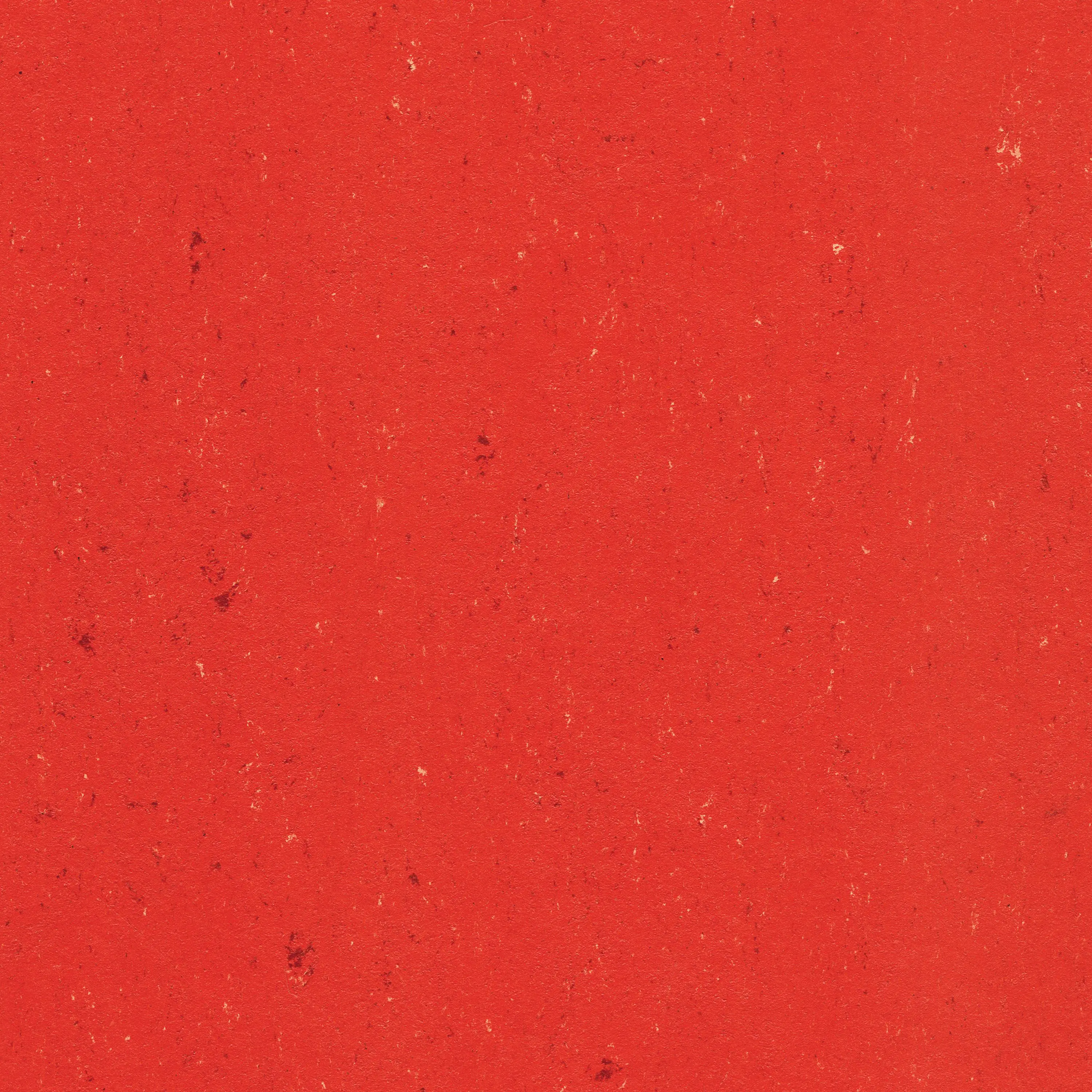 Rot