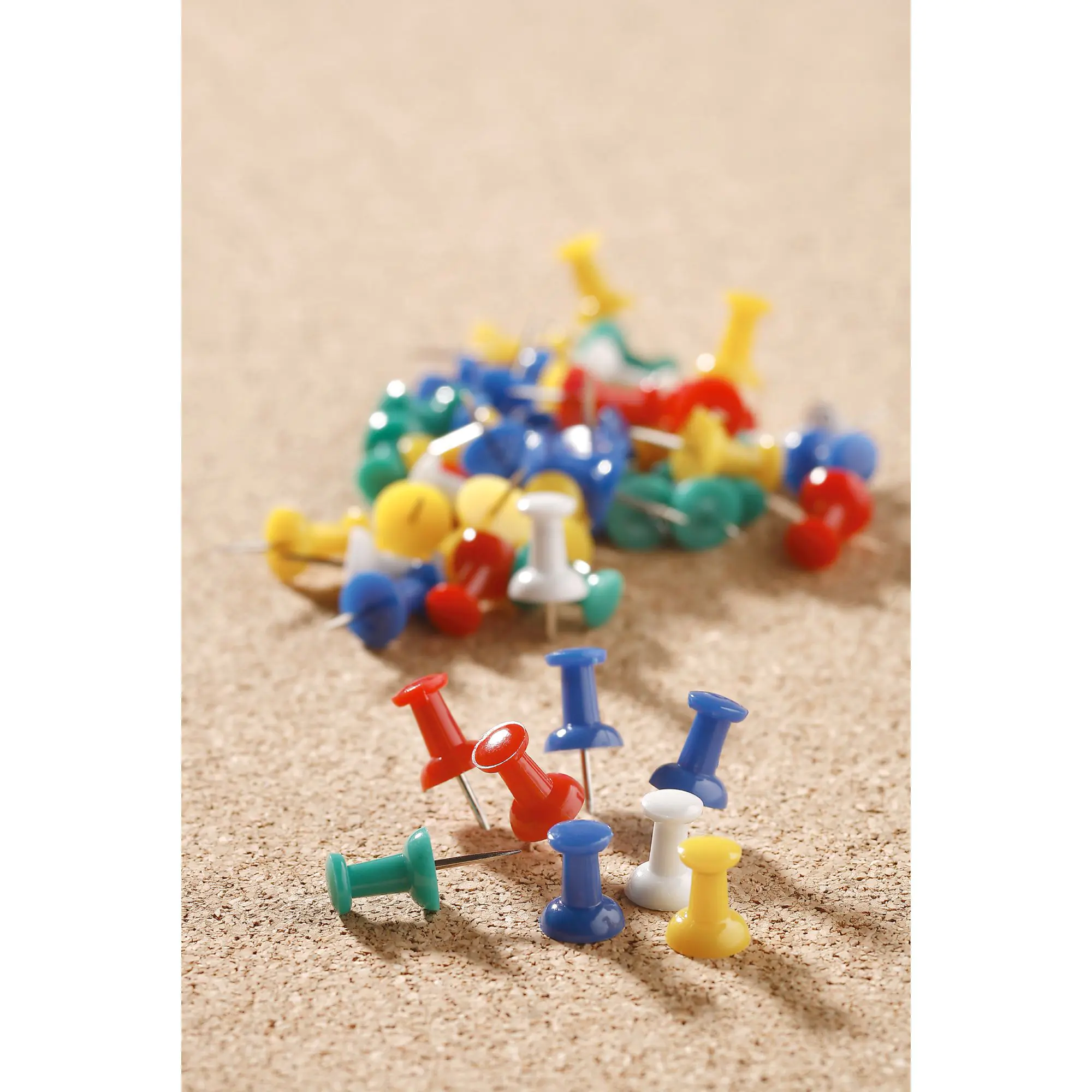 Push-Pins,  50 Stück farbig sortiert