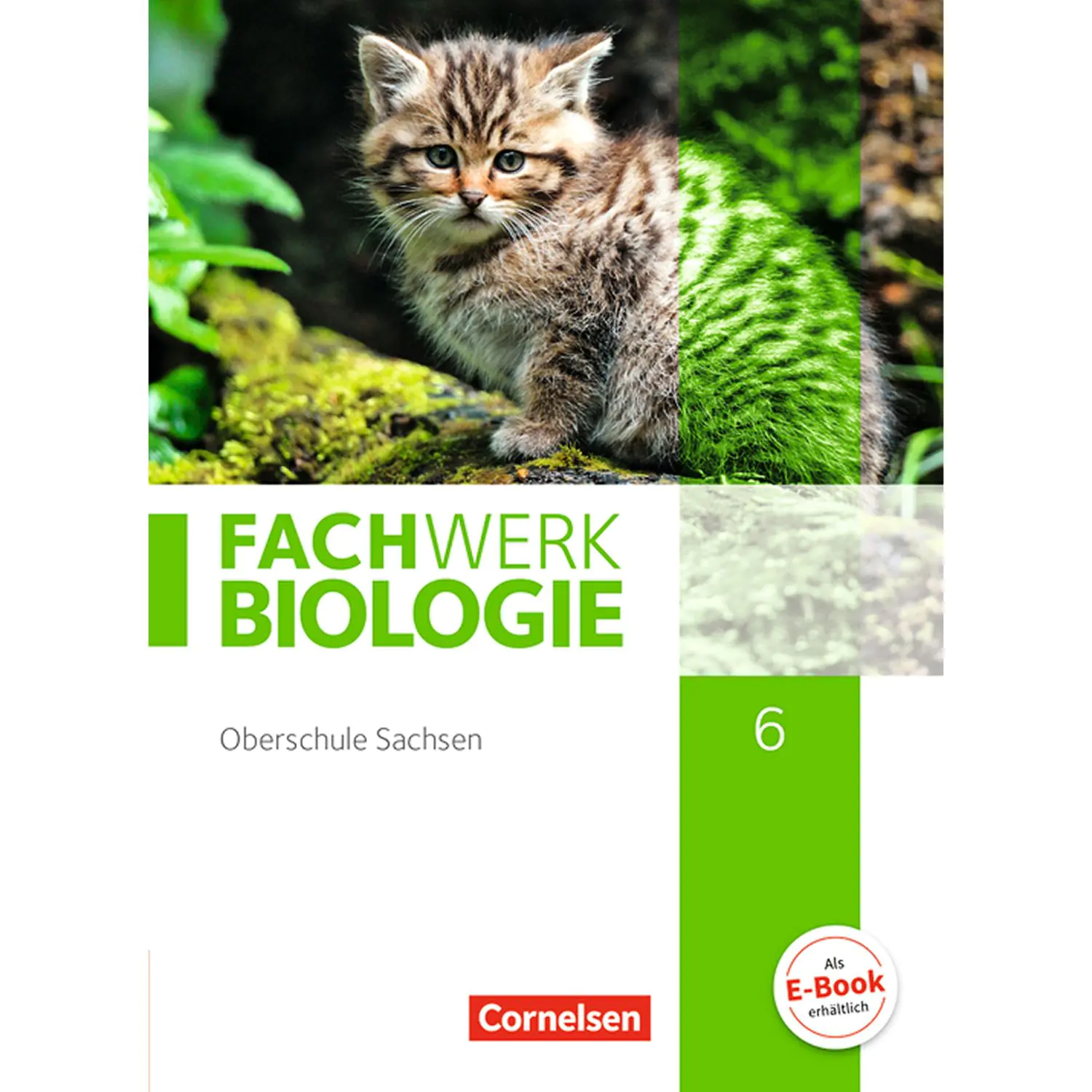 Fachwerk Biologie 6. Schülerbuch. Sachsen aus der Kategorie Biologie
