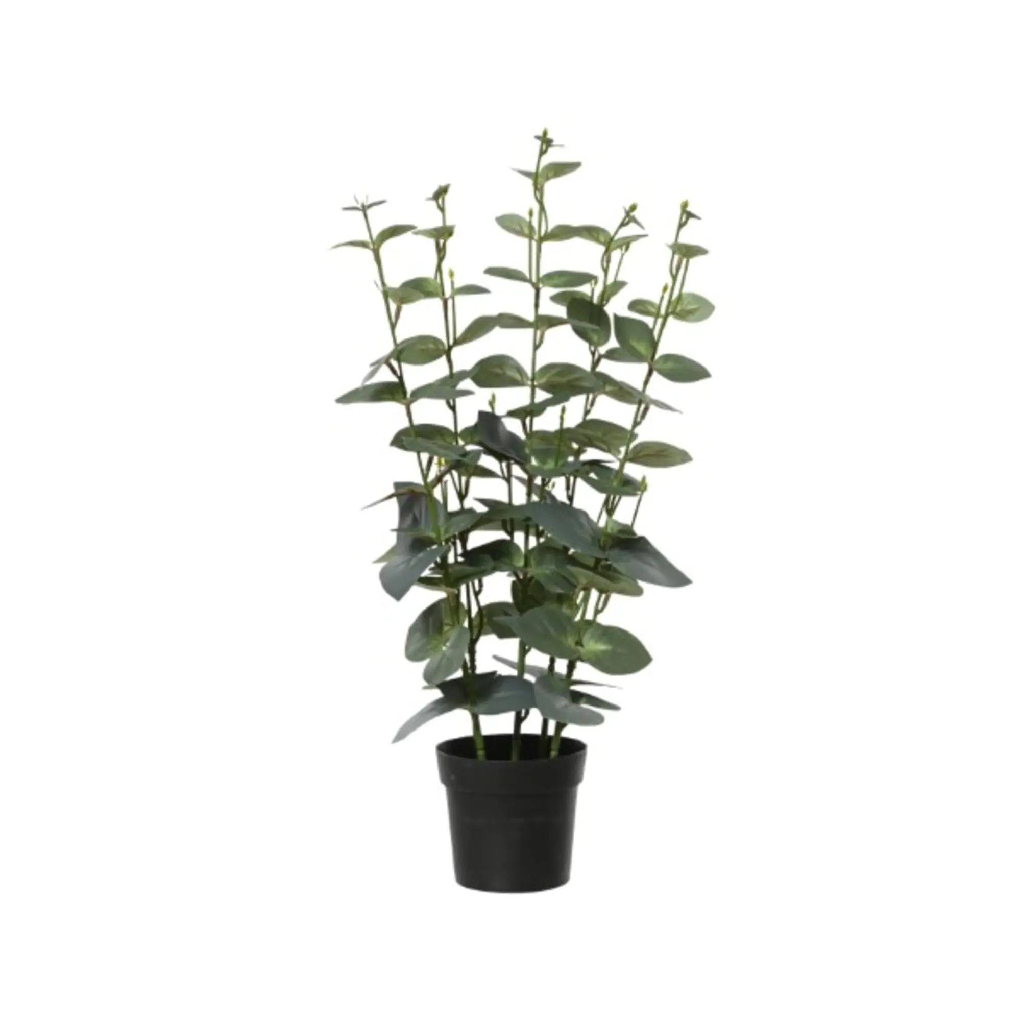 DECORIS Eukalyptus Kuntspflanze 25x54cm gn aus der Kategorie Home & Living