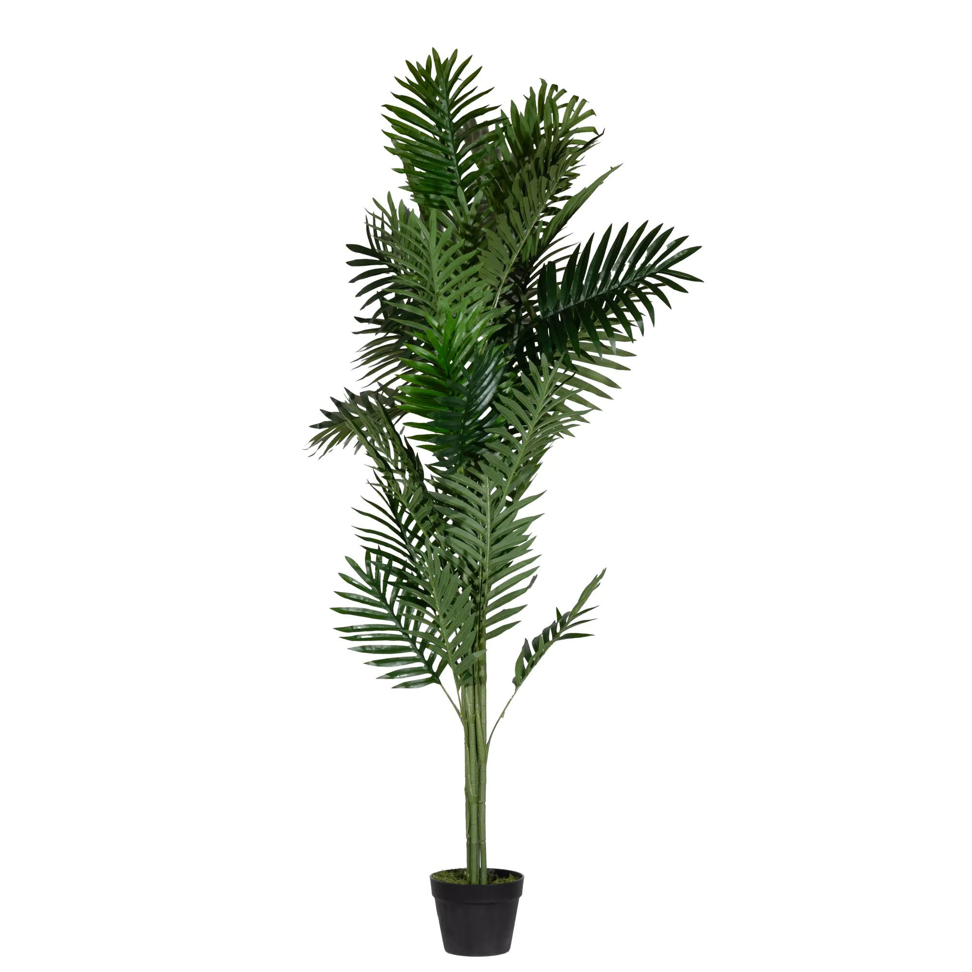 Paperflow Kunstpflanze Palme 160cm aus der Kategorie Dekoration