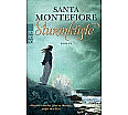 Sturmküste aus der Kategorie Taschenbücher